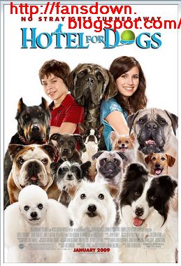 hotel para cães