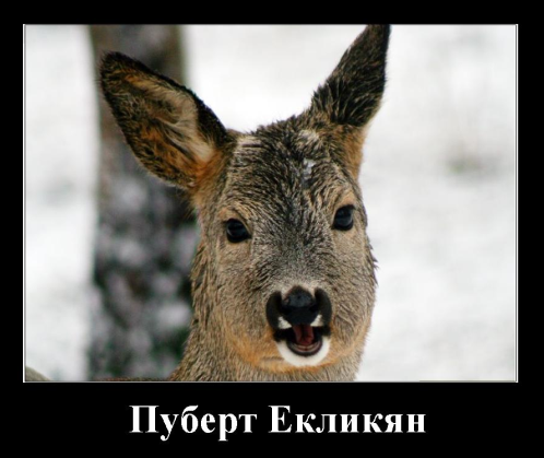 А фамилия моя довольно известна (с) А фамилия моя довольно известна (с)