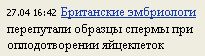 Бельмондо