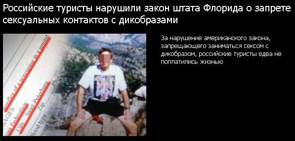 Секс с дикобразами