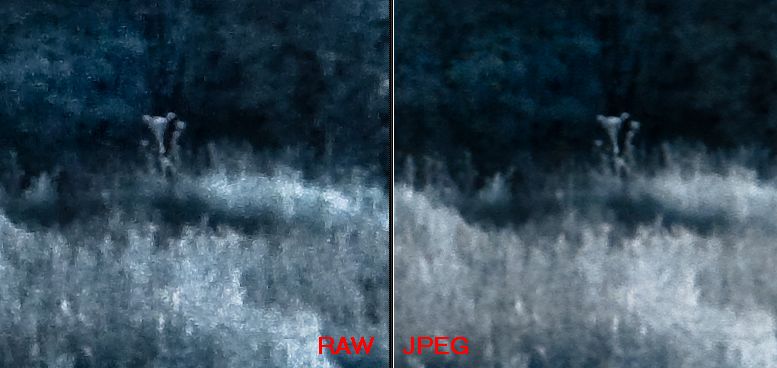 Raw vs JPEG 