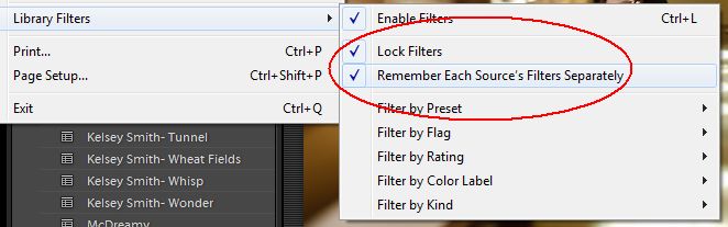 Sticky Filters in Lightroom