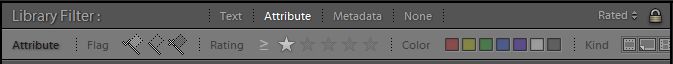 Lightroom Library Filter