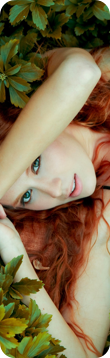 shapeimage_26