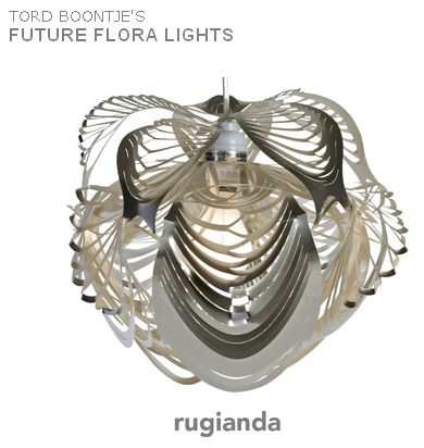 1260126865-clip-28kb