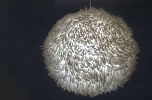 1260128720-clip-27kb