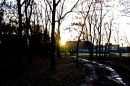 IMG_8627.jpg