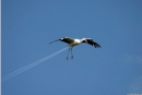 up and away