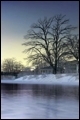 2009-11- ...