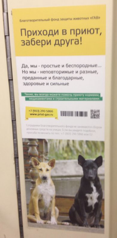 1375294669-clip-38kb
