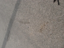 DSC00200.JPG