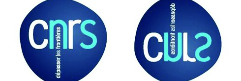 logo cnrs