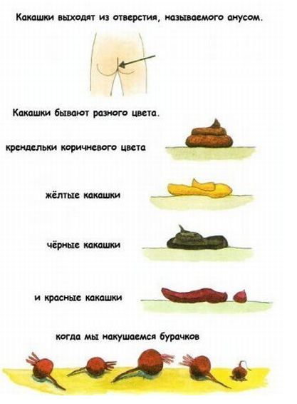 Книжка про какашки!