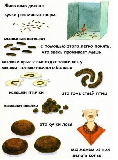 Книжка про какашки!