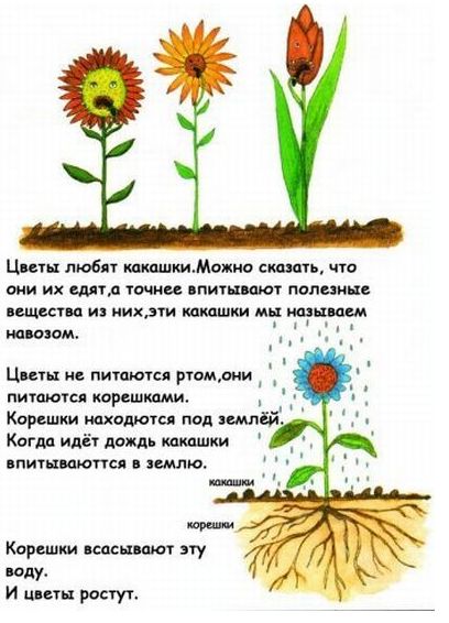 Книжка про какашки!