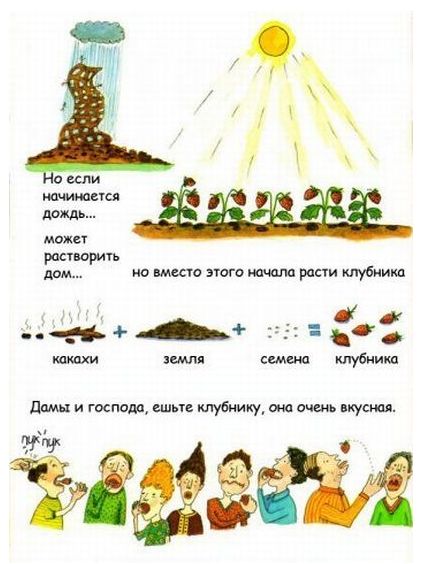 Книжка про какашки!