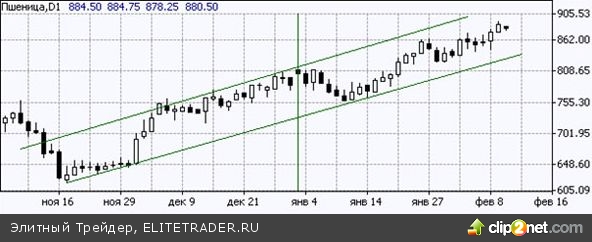 Пшеница - новые ценовые рекорды Пшеница - новые ценовые рекорды
