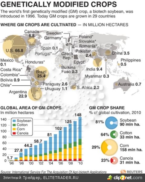 Обзор рынка зерновых, масличных и хлопка