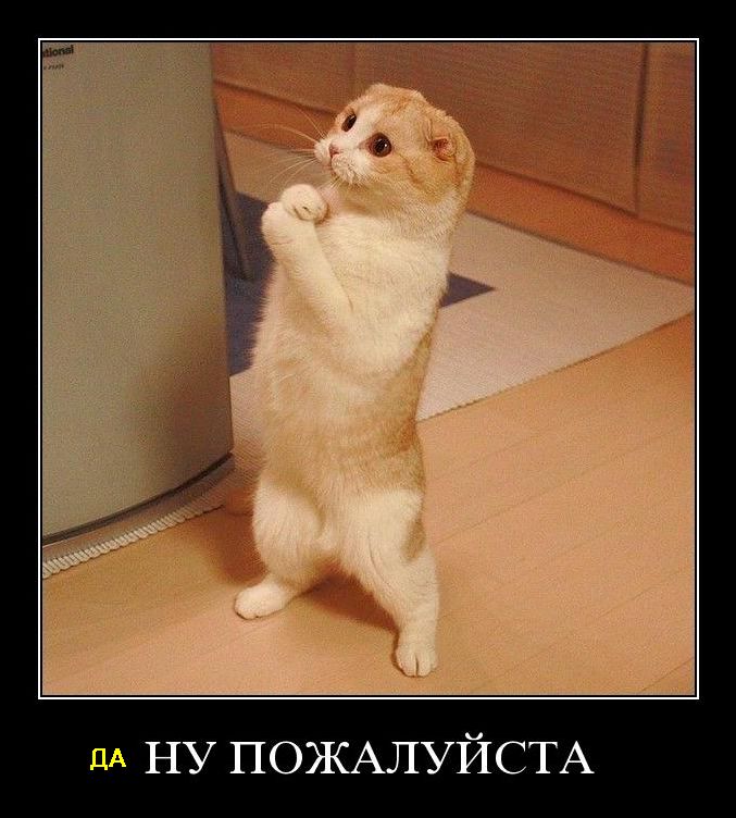 1343126108-clip-73kb.jpg