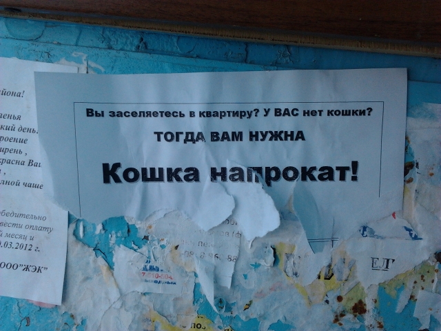 Отправленное изображение