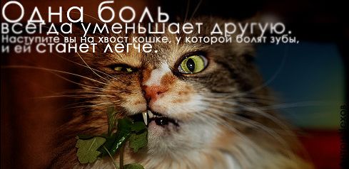 http://clip2net.com/clip/m7/1227003214-clip-27kb.jpg