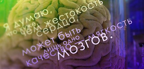 http://clip2net.com/clip/m7/1227532125-clip-26kb.jpg