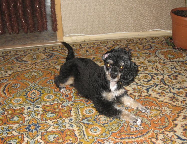 1341329071-clip-114kb.jpg?nocache=1