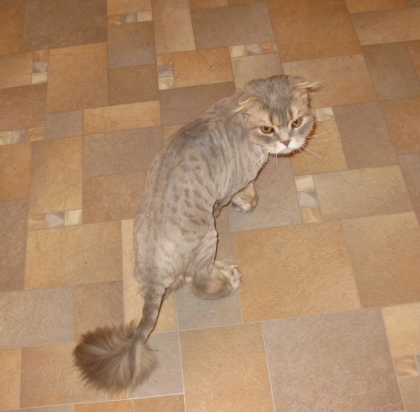 1341329162-clip-45kb.jpg?nocache=1