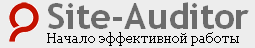 сайт аудитор chan для блоггера, для блога