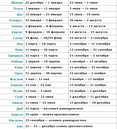 Гороскоп на 2019 год по знакам зодиака
